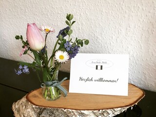 Appartement Schillingen Buitenaudio-opname 8
