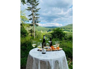 Appartamento Schillingen Registrazione all'aperto 11