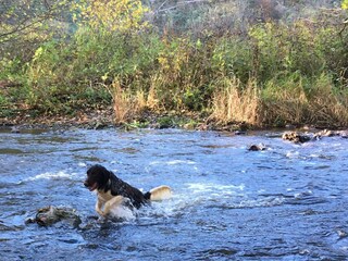 Appartamento Schillingen Registrazione all'aperto 15