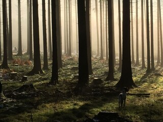 Appartamento Schillingen Registrazione all'aperto 16