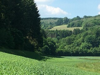 Apartamento Schillingen Grabación al aire libre 17