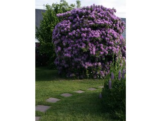 Appartement Kell am See Buitenaudio-opname 5