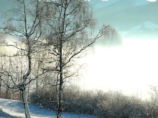 Winterlandschaft