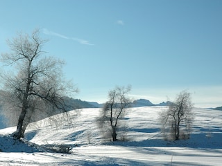 Gefrorene Uferböschung