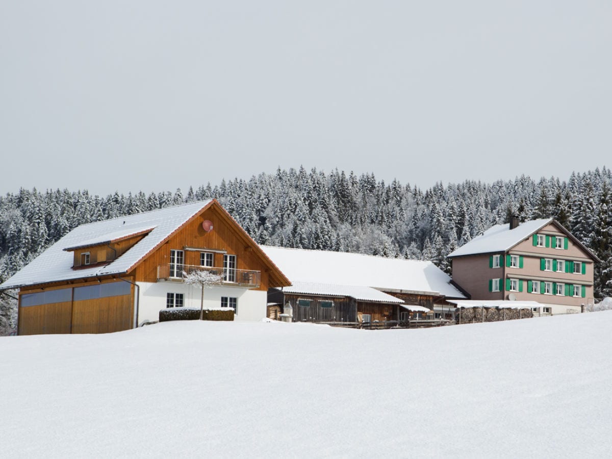 Schnee so weit das Auge reicht