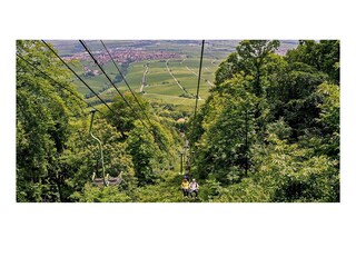 Apartamento de vacaciones St. Martin in der Pfalz Entorno 12