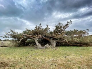 Vakantiehuis Udsholt Strand  10