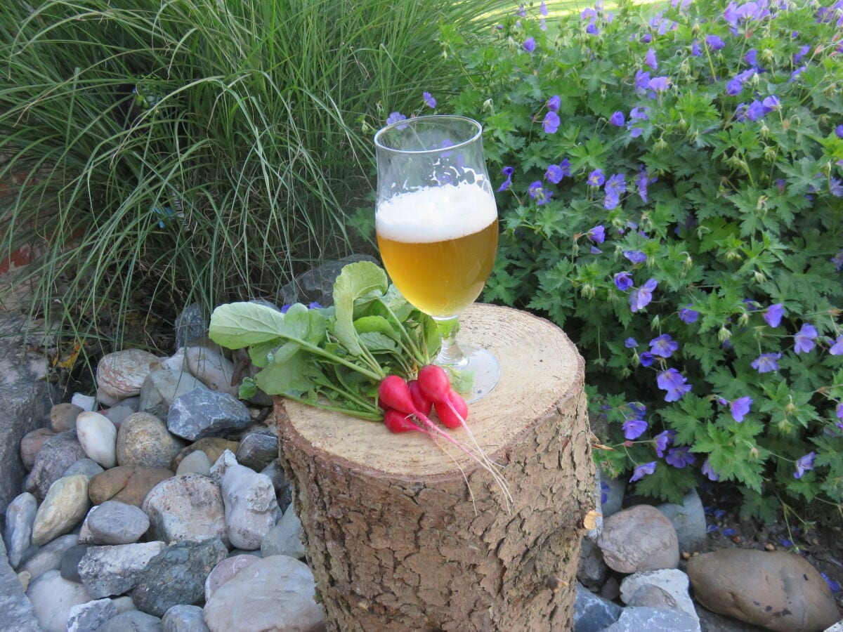 Genießen Sie ein Bier im Garten