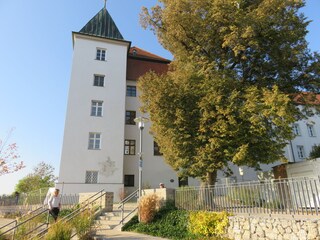 Appartamento per vacanze Rettenbach (Schwaben) Ambiente 31