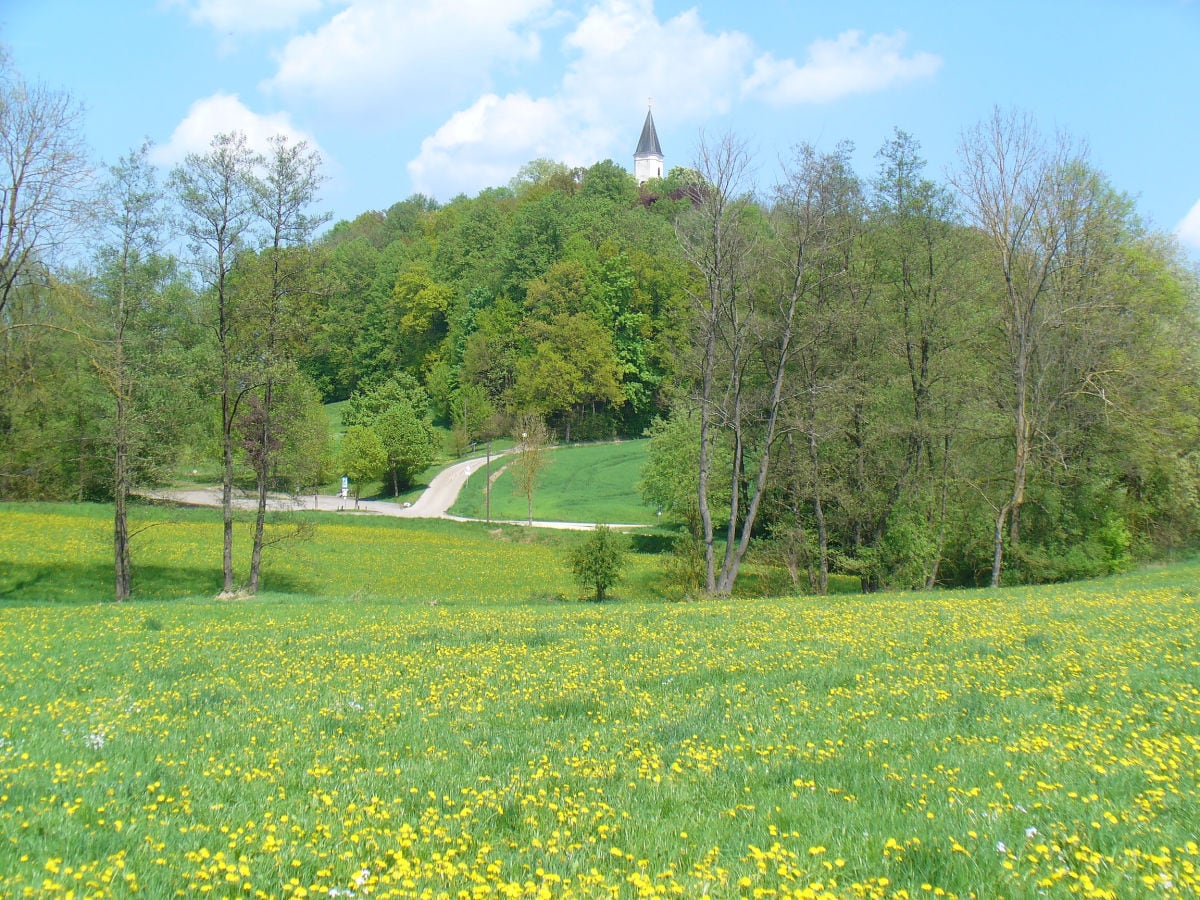 unsere Umgebung im Frühling