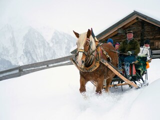 Pferdeschlitten, Apriach (c)HT-NPR, K. Dapra