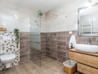 Villa Zmijavci Caratteristiche 36