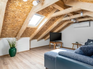 Villa Zmijavci Caratteristiche 45