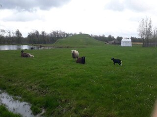 Ferienhaus Ansager  33