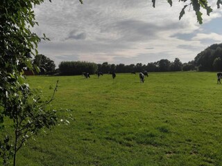 Vakantiehuis Ansager  10