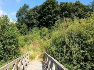 Casa per le vacanze Ansager  37