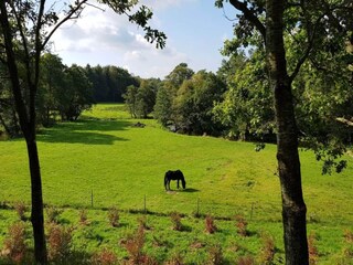 Casa per le vacanze Ansager  11