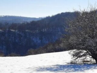 Apartment Wienrode Umgebung 38