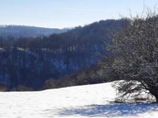 Apartment Wienrode Environment 32