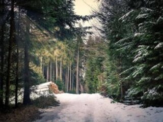 Apartment Wienrode Environment 33