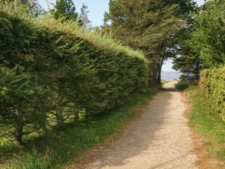 Ferienhaus Skaven Strand Außenaufnahme 3