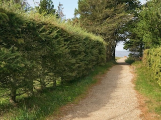 Holiday house Skaven Strand Outdoor Recording 3