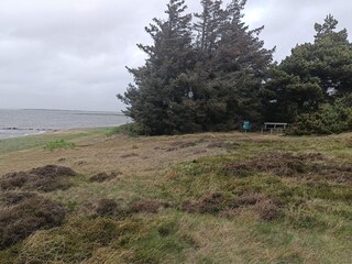 Casa de vacaciones Skaven Strand  10