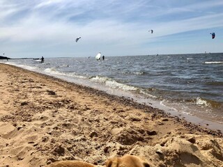 Vakantiehuis Skaven Strand  40