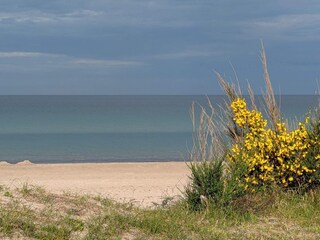 Casa per le vacanze Vaeggerløse  40