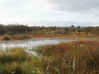 Holiday house Ansager  32