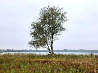 Vakantiehuis Ansager  5
