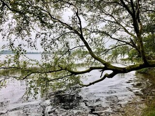 Vakantiehuis Ansager  6
