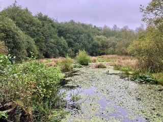 Vakantiehuis Ansager  14