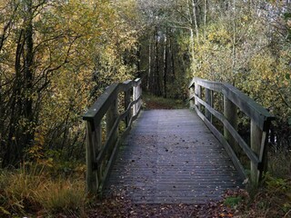 Vakantiehuis Ansager  5