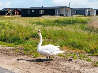 Holiday house Søndervig  18