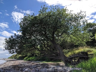 Casa per le vacanze Knebel  16