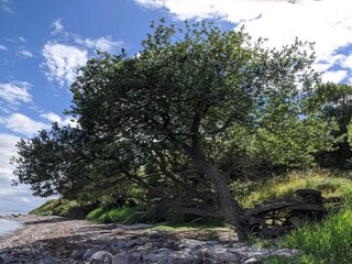 Vakantiehuis Knebel  25