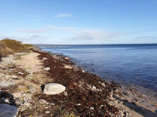 Ferienhaus Knebel  15