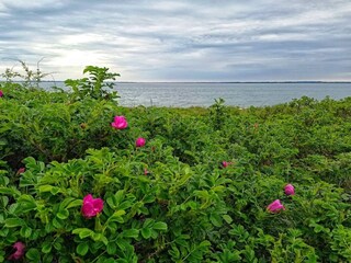 Maison de vacances Sønderballe  37