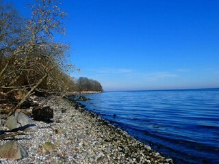 Maison de vacances Sønderballe  9