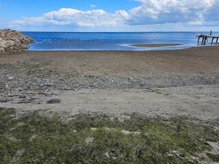 Ferienhaus Sønderballe  29