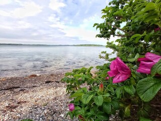 Ferienhaus Sønderballe  16