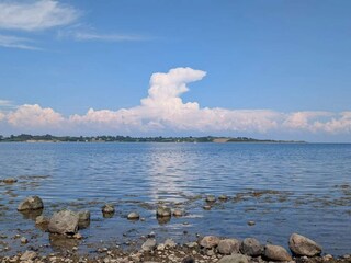 Ferienhaus Sønderballe  41