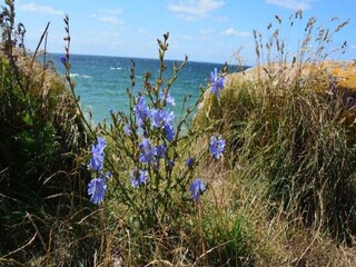 Vakantiehuis Ærøskøbing Buitenaudio-opname 6