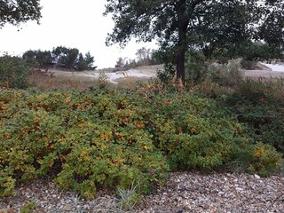 Maison de vacances Høll  5