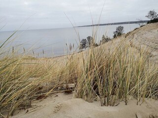 Maison de vacances Høll  28