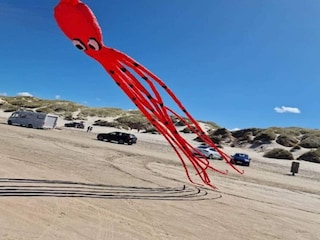 Ferienhaus Blokhus Außenaufnahme 16