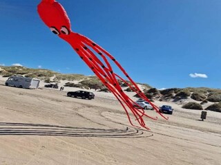 Vakantiehuis Blokhus Buitenaudio-opname 16