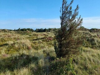 Casa per le vacanze Blokhus Registrazione all'aperto 15