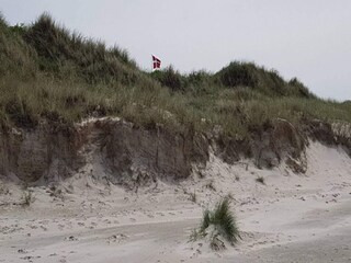 Vakantiehuis Blokhus Buitenaudio-opname 2